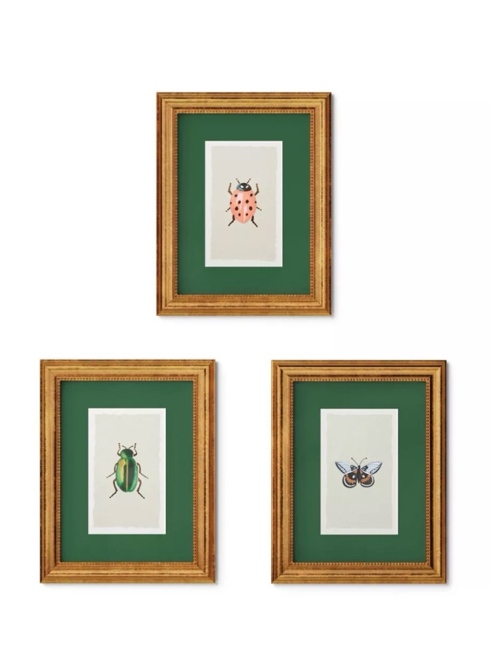 Target Gold Foiled Insect Poster
Framed Wall Art Set Of 3 From
Rifle Paper Co